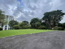 Tanglin Hill Villas (D10), Detached #458592941
